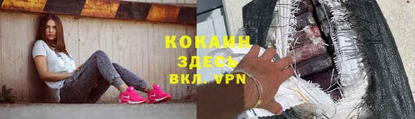 дурь Богданович