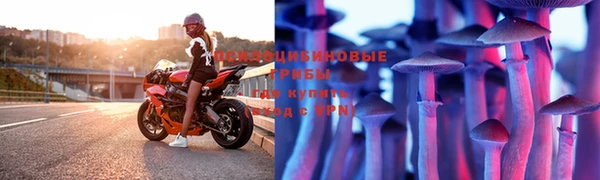 дурь Богданович