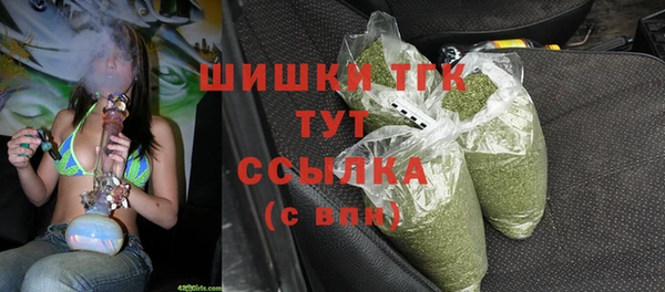 прущий лед Богородицк