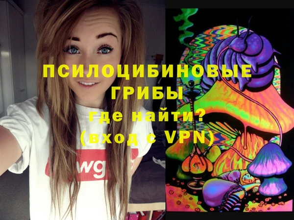 прущий лед Богородицк