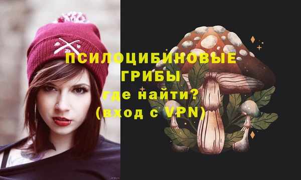 прущий лед Богородицк