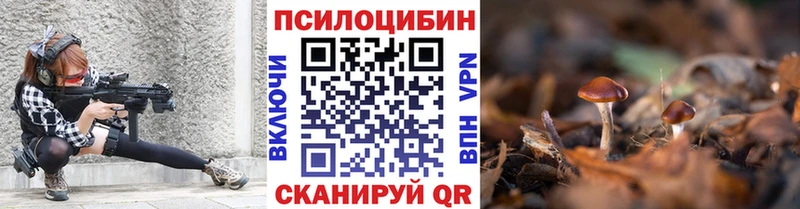 Псилоцибиновые грибы GOLDEN TEACHER  Дальнегорск 